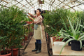 Woman Cutting Plant In Greenhouse - PhotoDune Item for Sale