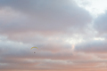 paragliding - PhotoDune Item for Sale