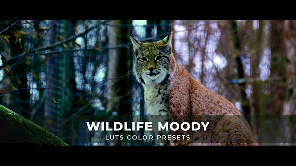 Wildlife Moody Luts