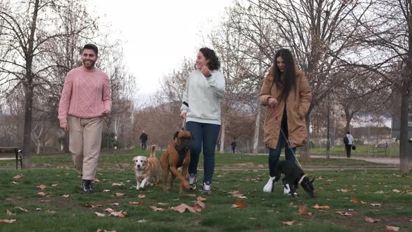 Group of friends talking and having fun while enjoying a walk in the park with their dogs.