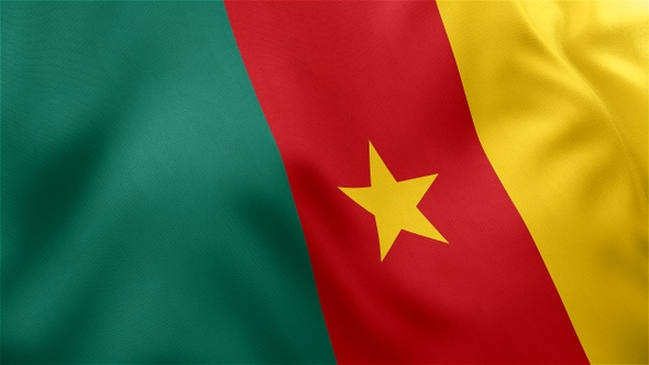 Cameroon Flag