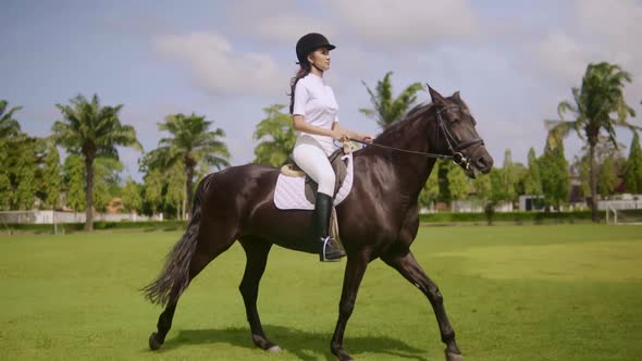 Attractive Young Lady Horseriding Bay Horse on Bright Sunny Day Slow Motion Girl Enjoying Equestrian