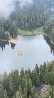 Vertical Video Mountain Lake Synevyr