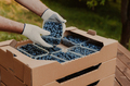 Hands holding container with blueberry over cardboard box with blueberry - PhotoDune Item for Sale
