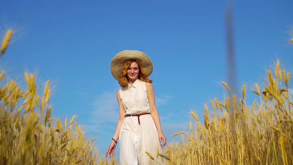 Low Angle Shot of Happy Romantic Red Haired Woman Walking on Wheat Field