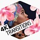 Bloom Transitions - VideoHive Item for Sale