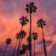Summer Pop House - AudioJungle Item for Sale