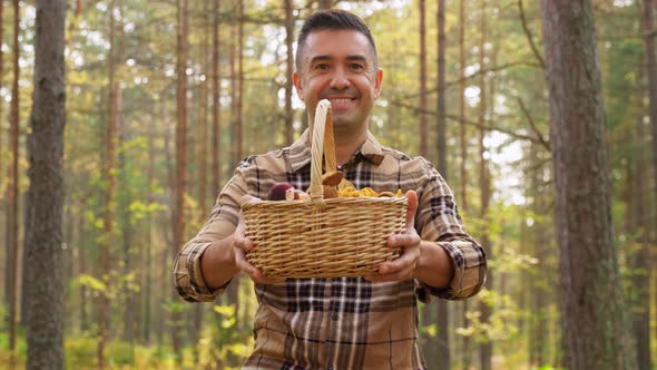 Happy Man with Basket Picking Mushrooms in Forest