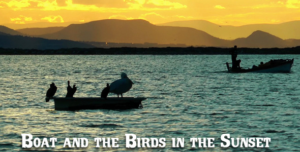 Boat And The Birds In The Sunset