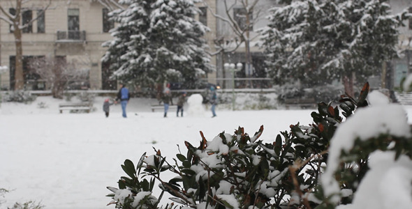 Snowing In The Park City alt