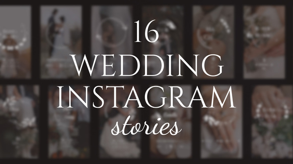 16 Wedding Instagram Stories