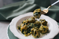 Close up of ravioli with spinach and cheese - PhotoDune Item for Sale
