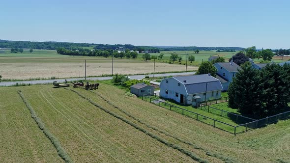 Aerial View of an Amish Farmers with Five Horses Harvesting His Crops and Loading Them on to a Cart