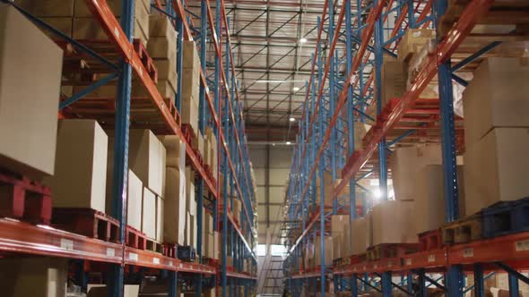 Empty warehouse with multiple boxes on shelfs with ladder on floor