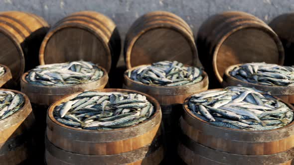 Wooden barrels with the fresh mackerels on the harbor.  Fruitful fishing day.