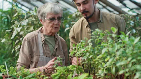 Elderly Woman and Young Man Discussing Plants in Greenhouse