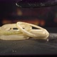 Tasty Onion Rings Roast on Teppan Yaki Grill - VideoHive Item for Sale
