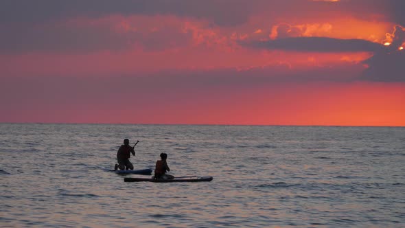 Silhouettes of People Surfers on the Sea at Sunset.