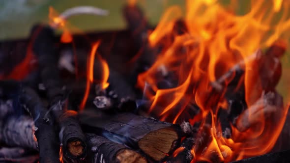 Black logs in fire