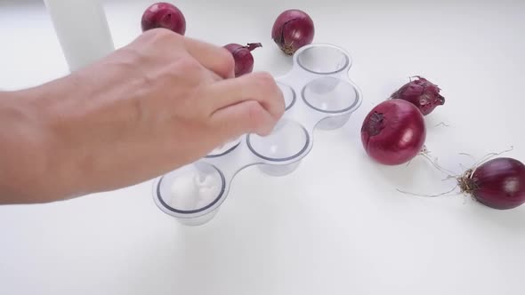 A Woman's Hand Puts Cotton Wool in the Cells for Sprouting Onions at Home on the Window