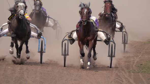 Horse Racing Of The Wagons