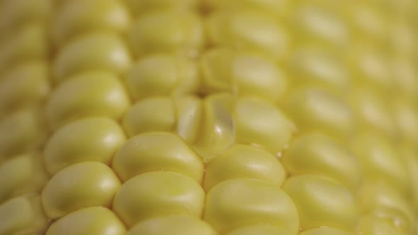 Macro Shot of Row Ripe Yellow Corn Grains Along Which Trickle of Thick Viscous Honey or Oil Flows