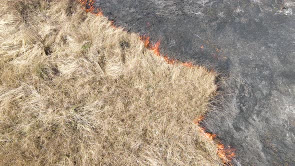 Aerial View of Grassland Field Burning with Red Fire During Dry Season