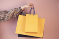 a girl holds shopping bags on a colored background - PhotoDune Item for Sale