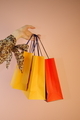 a girl holds shopping bags on a colored background - PhotoDune Item for Sale