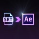 SRT Subtitle Importer (V 2.0) - VideoHive Item for Sale