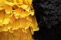 detail of black and yellow automatic car wash system cleaning fiber sponge brushes on spinning rotor - PhotoDune Item for Sale