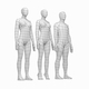 Male and Female Low Poly Base Mesh in Rest Pose - 3DOcean Item for Sale