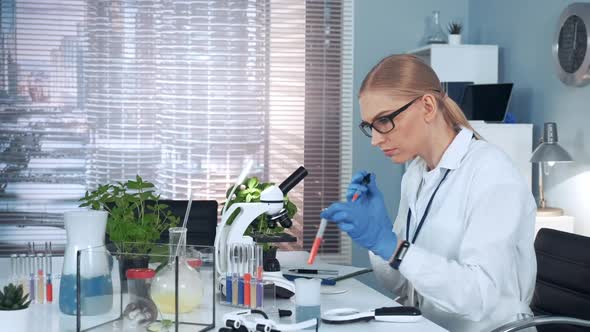 In Modern Research Laboratory: Female Scientist Using Pipette To Drop Sample on Slide