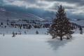 Winter Mountains Landscape Covered with Snow - PhotoDune Item for Sale