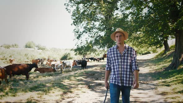 Young Villager Man Shepherd in Straw Hat Walking with His Flock of Cows on a Rural Background Slow