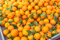 fresh ripe tangerines in the market - PhotoDune Item for Sale