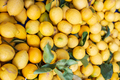 fresh ripe yellow lemons in a market - PhotoDune Item for Sale