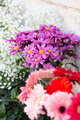 colorful flower bouquet. - PhotoDune Item for Sale