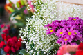 colorful flower bouquet.  - PhotoDune Item for Sale