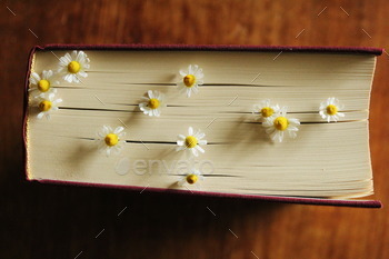 Flowers blooming between the pages of a book