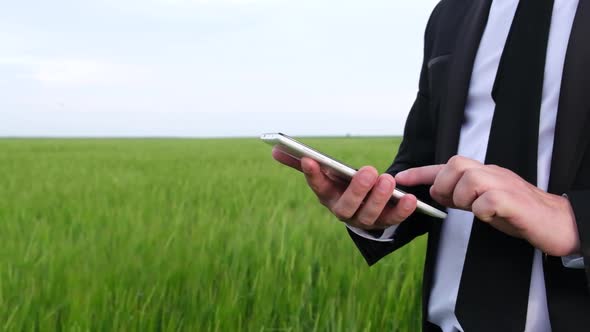 Business Man Uses a White Tablet on a Background of Green Field