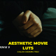 LUTs Aesthetic Movie - VideoHive Item for Sale