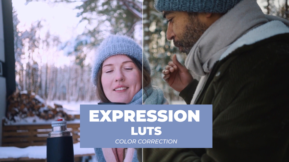 LUTs Expressions