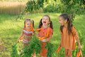 Three laughing humorous girls pulled out bunch of fresh ripe carrots in garden. - PhotoDune Item for Sale