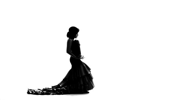 Girl Dances Flamenco Gracefully Moving Her Hands. White Background. Silhouette