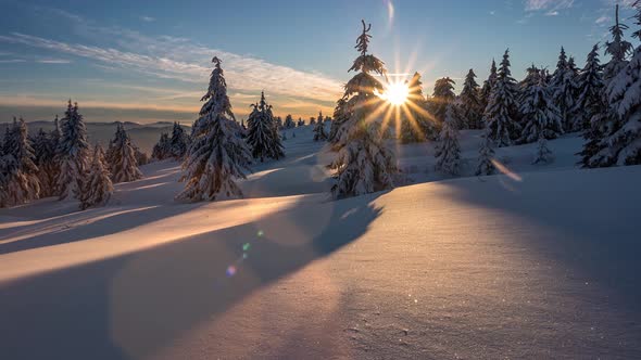 Winter Sunset in Forest