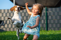 Baby girl running with beagle dog in garden on summer day. Domestic animal with children concept. - PhotoDune Item for Sale