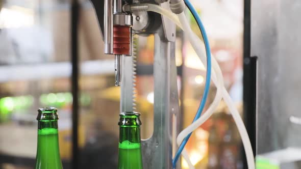 Beer Brewing. Bottles On Conveyor Line, Vacuum Evaporation