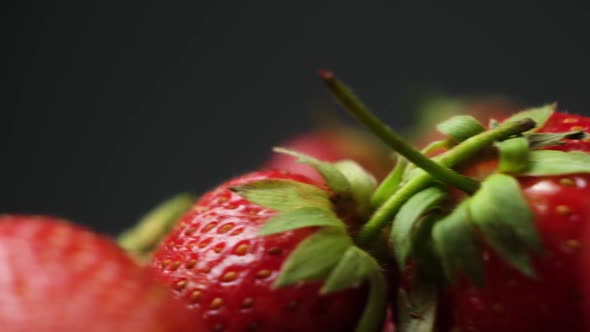 Macro Video of Whirling Strawberries on a Black Background