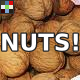 Bag of Nuts